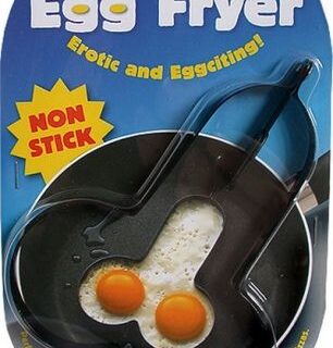 Egg Fryer