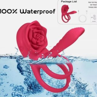 Inel in Forma de Trandafir -9 Moduri Vibratii