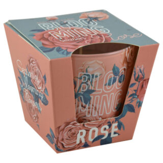 Lumanare parfumata in pahar de sticla, cu aroma de Dalie & Trandafir