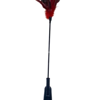 Accesoriu Dublu Tickler si Cravasa, Negru/Rosu, 63 cm