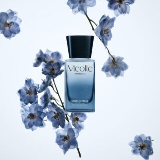 Odorizant cu betisoare parfumate 100 ml – Dark Citrus